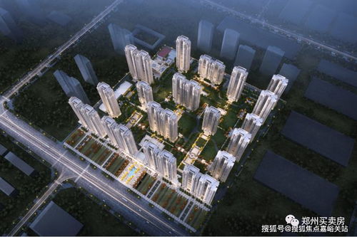 万科星图 南龙湖销冠红盘 郑州万科星图