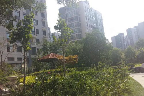 东方鼎盛时代三期优点 不足,东方鼎盛时代三期怎么样,东方鼎盛时代三期周边房产中介经纪人评价 郑州安居客