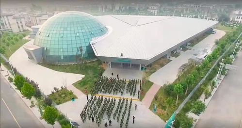 段然 最 土 的产业如何与市场接轨 2020博鳌文创周