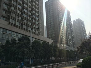 郑州未来国际项目综合分析 优势、不足及周边房产中介评价